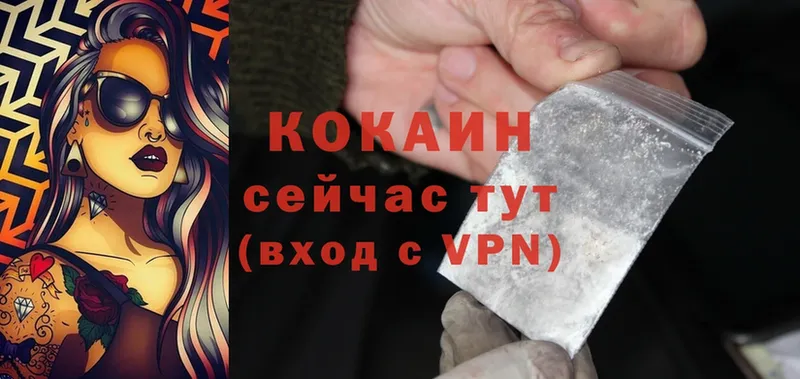 Cocaine Fish Scale  omg сайт  Омутнинск  закладка 